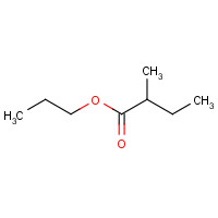 37064-20-3 propyl 2-methylbutanoate chemical structure