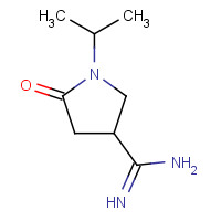 1273387-41-9 5-oxo-1-propan-2-ylpyrrolidine-3-carboximidamide chemical structure