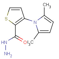 666724-62-5 3-(2,5-dimethylpyrrol-1-yl)thiophene-2-carbohydrazide chemical structure