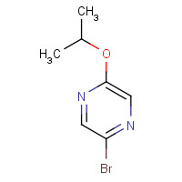 959238-74-5 2-bromo-5-propan-2-yloxypyrazine chemical structure