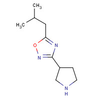 1225218-64-3 5-(2-methylpropyl)-3-pyrrolidin-3-yl-1,2,4-oxadiazole chemical structure