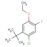 870007-49-1 1-tert-butyl-2-chloro-5-ethoxy-4-iodobenzene chemical structure