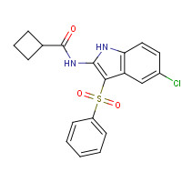 918493-32-0 N-[3-(benzenesulfonyl)-5-chloro-1H-indol-2-yl]cyclobutanecarboxamide chemical structure