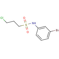 1007581-02-3 N-(3-bromophenyl)-3-chloropropane-1-sulfonamide chemical structure