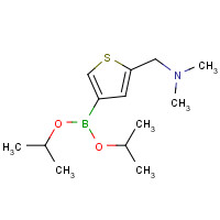 1075220-40-4 1-[4-di(propan-2-yloxy)boranylthiophen-2-yl]-N,N-dimethylmethanamine chemical structure
