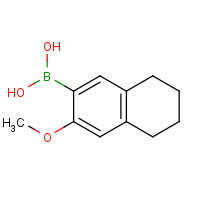 438589-56-1 (3-methoxy-5,6,7,8-tetrahydronaphthalen-2-yl)boronic acid chemical structure