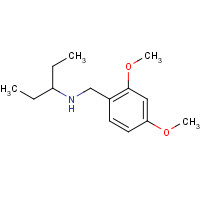 416891-71-9 N-[(2,4-dimethoxyphenyl)methyl]pentan-3-amine chemical structure