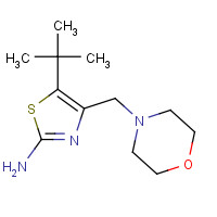 908269-55-6 5-tert-butyl-4-(morpholin-4-ylmethyl)-1,3-thiazol-2-amine chemical structure