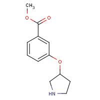 946715-41-9 methyl 3-pyrrolidin-3-yloxybenzoate chemical structure