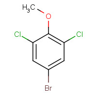 19240-91-6 5-bromo-1,3-dichloro-2-methoxybenzene chemical structure