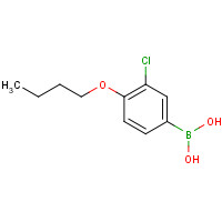 480438-55-9 (4-butoxy-3-chlorophenyl)boronic acid chemical structure