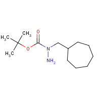 1443741-42-1 tert-butyl N-amino-N-(cycloheptylmethyl)carbamate chemical structure