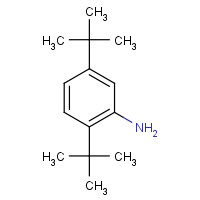 21860-03-7 2,5-ditert-butylaniline chemical structure