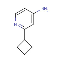 1159818-59-3 2-cyclobutylpyridin-4-amine chemical structure