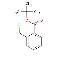 950603-44-8 tert-butyl 2-(chloromethyl)benzoate chemical structure