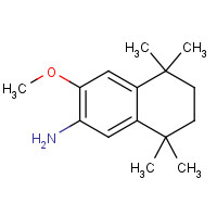 457065-49-5 3-methoxy-5,5,8,8-tetramethyl-6,7-dihydronaphthalen-2-amine chemical structure