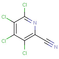 17824-83-8 3,4,5,6-tetrachloropyridine-2-carbonitrile chemical structure