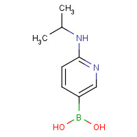 443339-44-4 [6-(propan-2-ylamino)pyridin-3-yl]boronic acid chemical structure