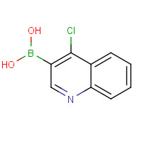 745784-09-2 (4-chloroquinolin-3-yl)boronic acid chemical structure