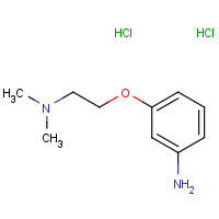 941319-37-5 3-[2-(dimethylamino)ethoxy]aniline;dihydrochloride chemical structure