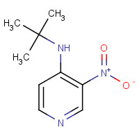 79371-43-0 N-tert-butyl-3-nitropyridin-4-amine chemical structure