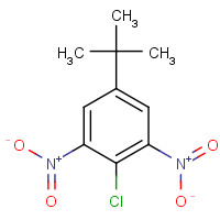 2213-81-2 5-tert-butyl-2-chloro-1,3-dinitrobenzene chemical structure