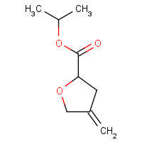 862997-23-7 propan-2-yl 4-methylideneoxolane-2-carboxylate chemical structure