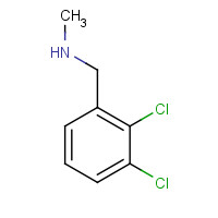731827-07-9 1-(2,3-dichlorophenyl)-N-methylmethanamine chemical structure
