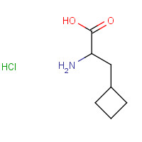 681128-35-8 2-amino-3-cyclobutylpropanoic acid;hydrochloride chemical structure