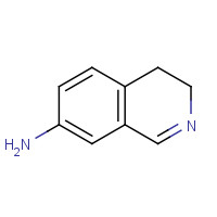 62541-60-0 3,4-dihydroisoquinolin-7-amine chemical structure