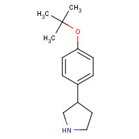 885277-97-4 3-[4-[(2-methylpropan-2-yl)oxy]phenyl]pyrrolidine chemical structure