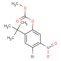 873055-67-5 (4-bromo-2-tert-butyl-5-nitrophenyl) methyl carbonate chemical structure