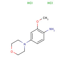 761441-21-8 2-methoxy-4-morpholin-4-ylaniline;dihydrochloride chemical structure