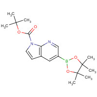 1370616-23-1 tert-butyl 5-(4,4,5,5-tetramethyl-1,3,2-dioxaborolan-2-yl)pyrrolo[2,3-b]pyridine-1-carboxylate chemical structure