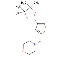 364794-85-4 4-[[4-(4,4,5,5-tetramethyl-1,3,2-dioxaborolan-2-yl)thiophen-2-yl]methyl]morpholine chemical structure