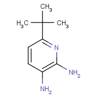 893444-20-7 6-tert-butylpyridine-2,3-diamine chemical structure