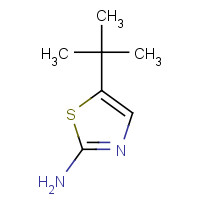 299417-31-5 5-tert-butyl-1,3-thiazol-2-amine chemical structure