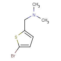 81882-03-3 1-(5-bromothiophen-2-yl)-N,N-dimethylmethanamine chemical structure