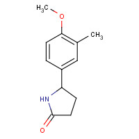 874497-14-0 5-(4-methoxy-3-methylphenyl)pyrrolidin-2-one chemical structure