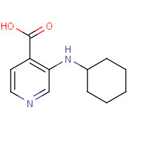 939819-21-3 3-(cyclohexylamino)pyridine-4-carboxylic acid chemical structure