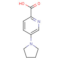 950603-19-7 5-pyrrolidin-1-ylpyridine-2-carboxylic acid chemical structure