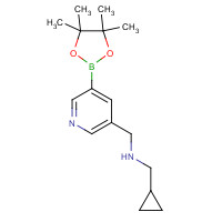 919347-13-0 1-cyclopropyl-N-[[5-(4,4,5,5-tetramethyl-1,3,2-dioxaborolan-2-yl)pyridin-3-yl]methyl]methanamine chemical structure