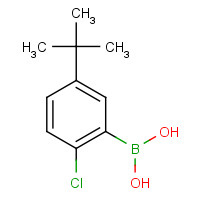 1233056-75-1 (5-tert-butyl-2-chlorophenyl)boronic acid chemical structure
