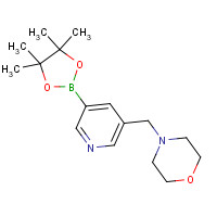 919347-16-3 4-[[5-(4,4,5,5-tetramethyl-1,3,2-dioxaborolan-2-yl)pyridin-3-yl]methyl]morpholine chemical structure