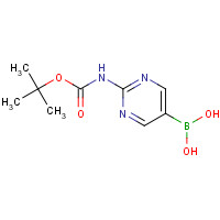 883231-25-2 [2-[(2-methylpropan-2-yl)oxycarbonylamino]pyrimidin-5-yl]boronic acid chemical structure