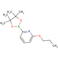1309982-31-7 2-propoxy-6-(4,4,5,5-tetramethyl-1,3,2-dioxaborolan-2-yl)pyridine chemical structure