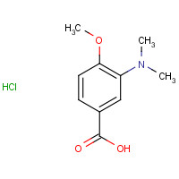 1253850-61-1 3-(dimethylamino)-4-methoxybenzoic acid;hydrochloride chemical structure