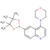 1201844-71-4 4-[6-(4,4,5,5-tetramethyl-1,3,2-dioxaborolan-2-yl)quinolin-4-yl]morpholine chemical structure