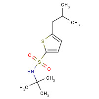 146013-28-7 N-tert-butyl-5-(2-methylpropyl)thiophene-2-sulfonamide chemical structure