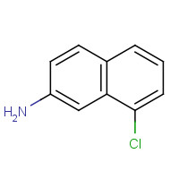 843669-39-6 8-chloronaphthalen-2-amine chemical structure